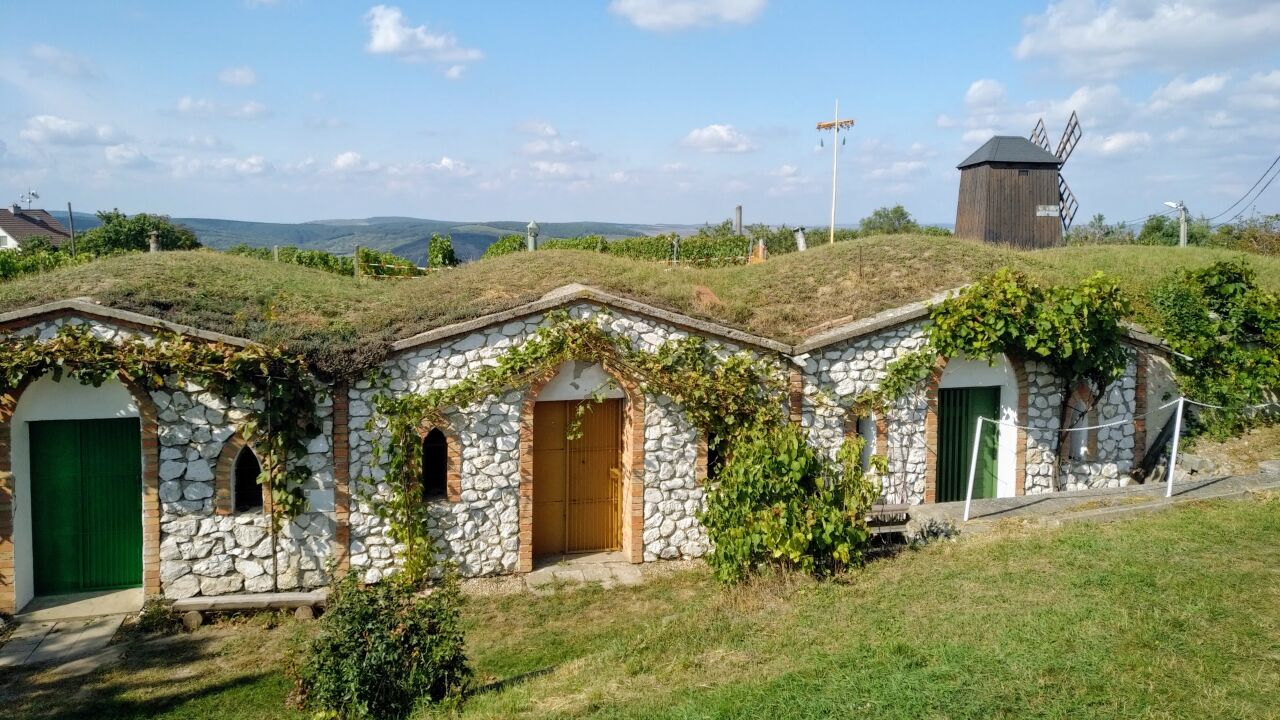 Zemí zaslíbenou mezi vinohrady