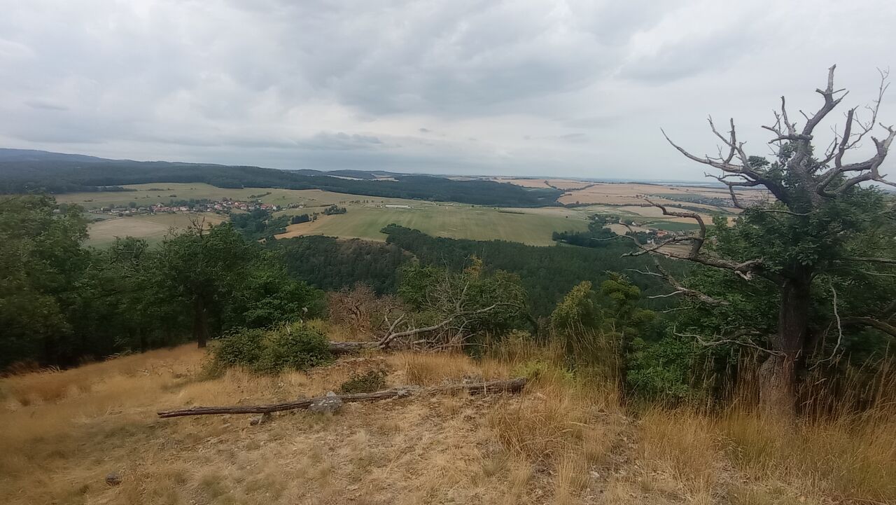 Křivoklátský horal