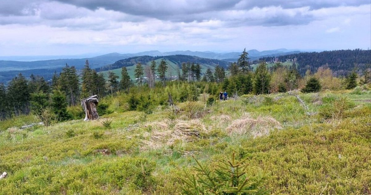 Hřebenovka Góry Sowie - Góry Bardzkie (PL)