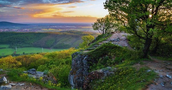 Horal Malých Karpat