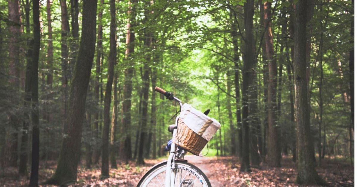 Březnová výzva 2021