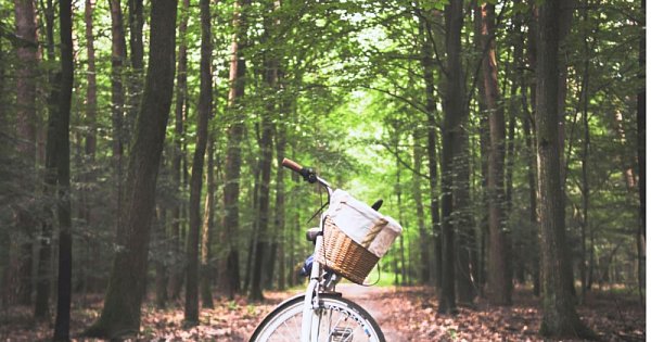 Březnová výzva 2021