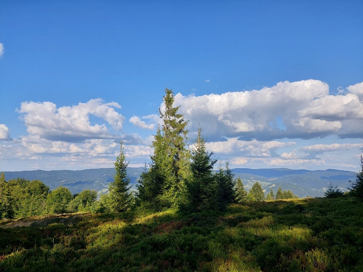 Trześniowy Groń (1001&nbsp;m)