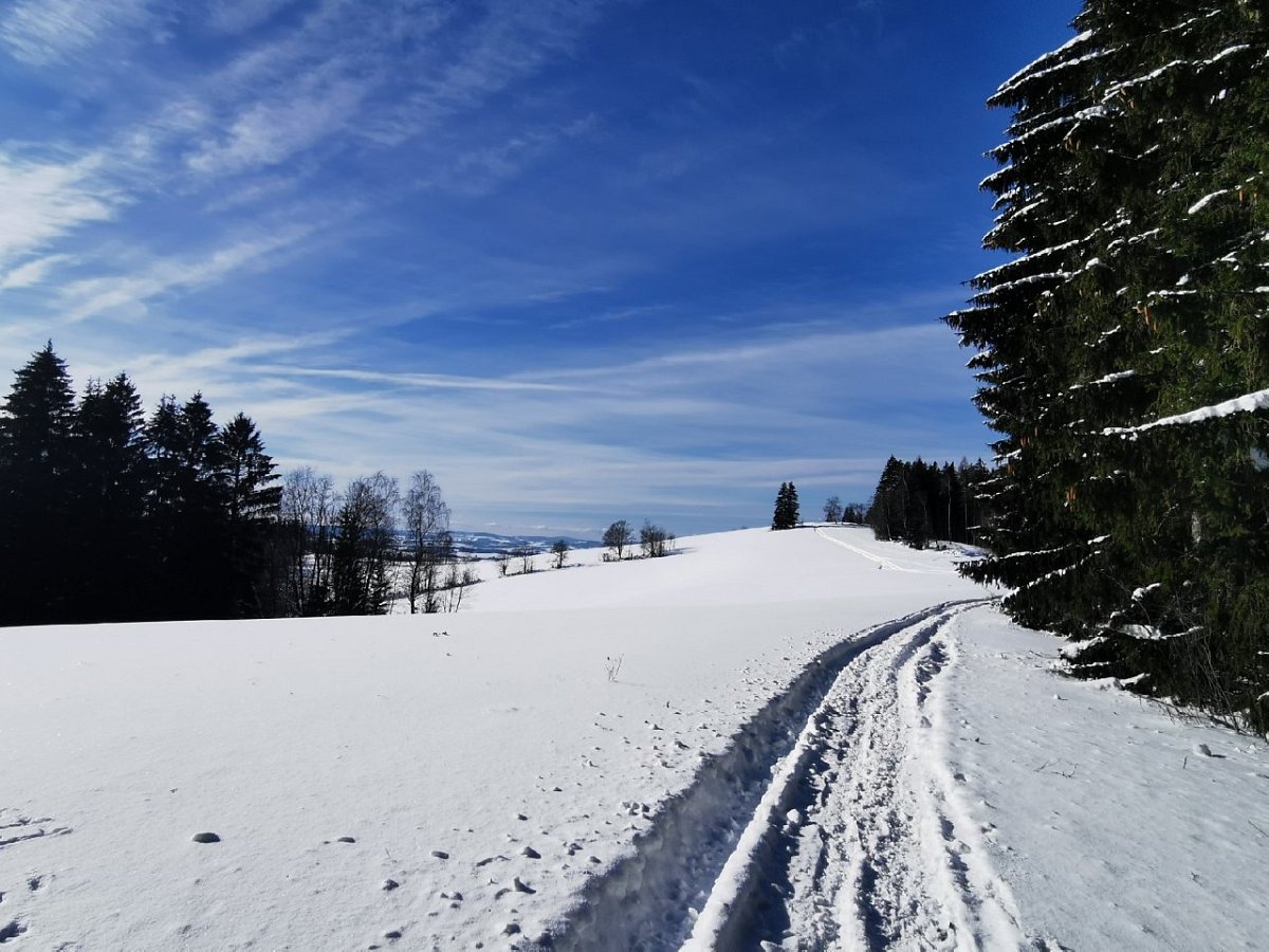 Bolkovský vrch (753&nbsp;m)