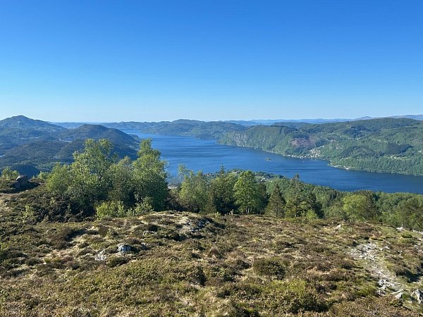 Ådnanipa