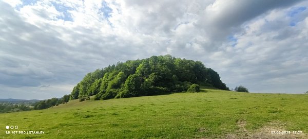 Krtina