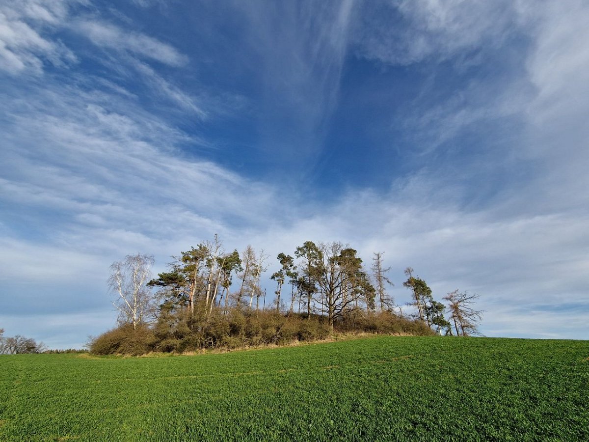 Výrovna (355&nbsp;m)