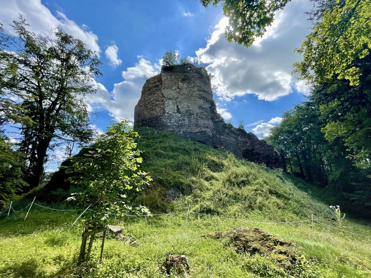 Frymburk (557&nbsp;m)
