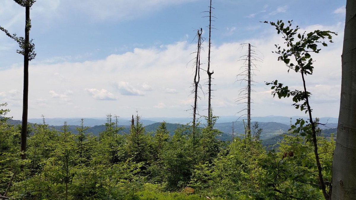 Veľký Príslop (1044&nbsp;m)