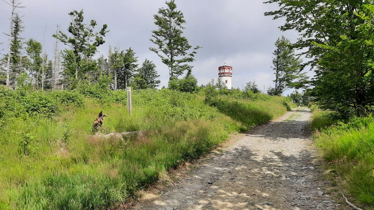 Biskupská kupa (890&nbsp;m)