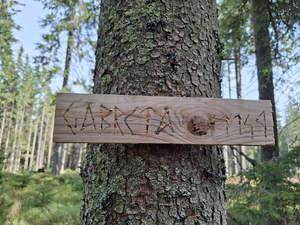 Gabreta (1149&nbsp;m)