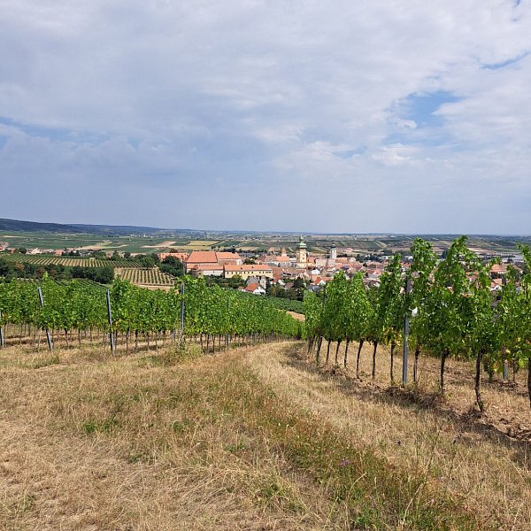 Gollitsch