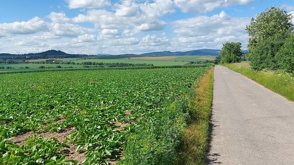 Aldova panoramata