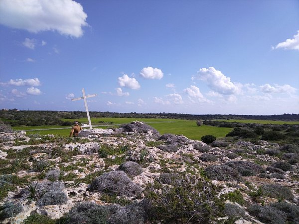 Vounia
