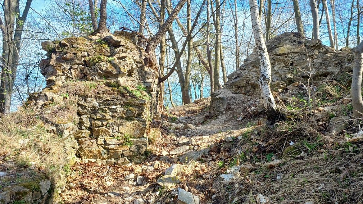 Rychvald - zřícenina  (485&nbsp;m)