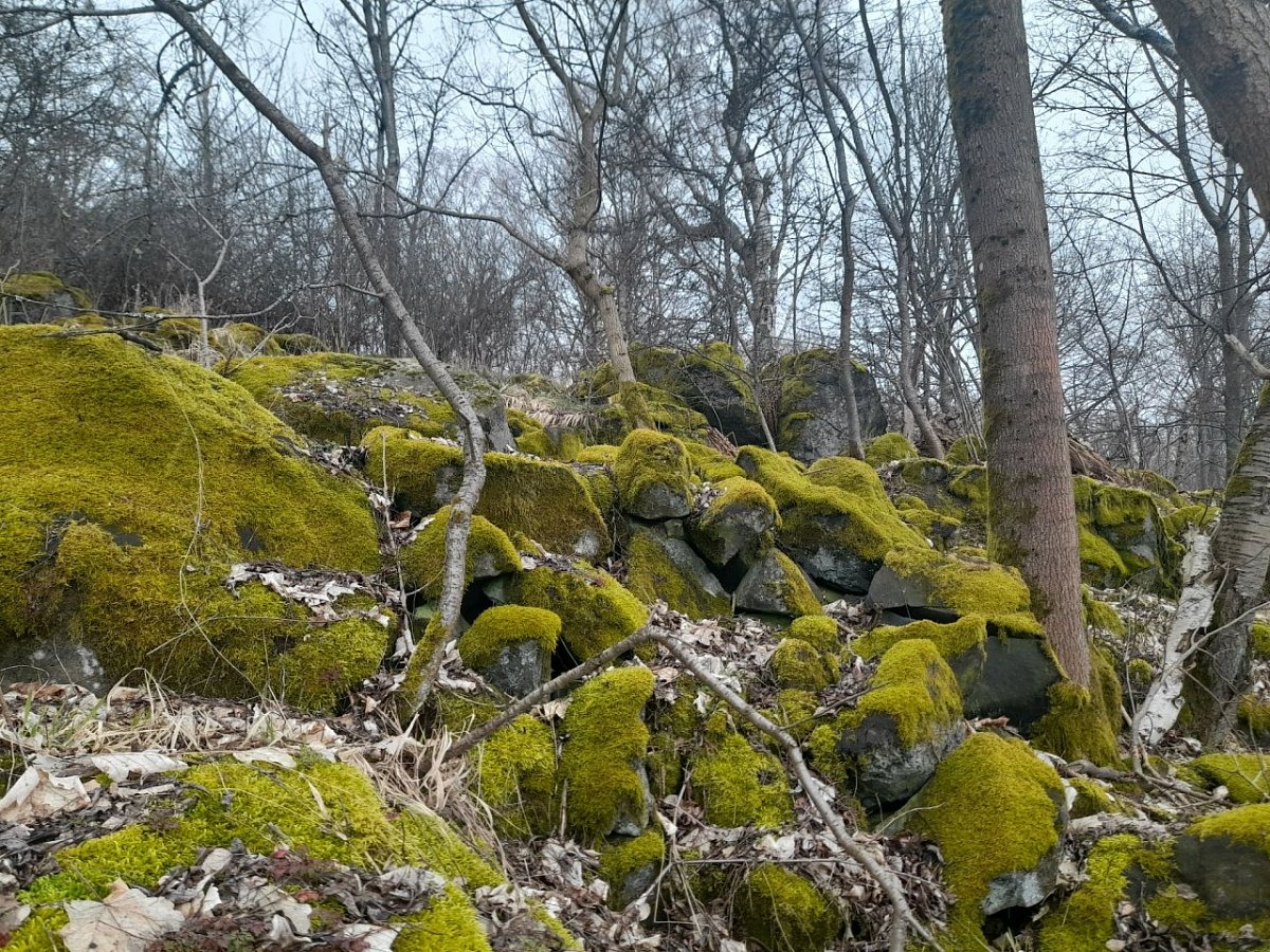 Kameniště (575&nbsp;m)