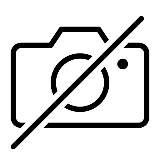 Sisina