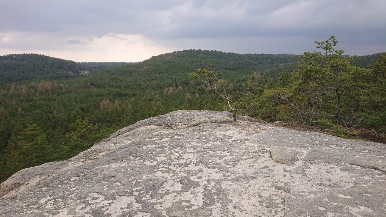 Malý Vlhošť