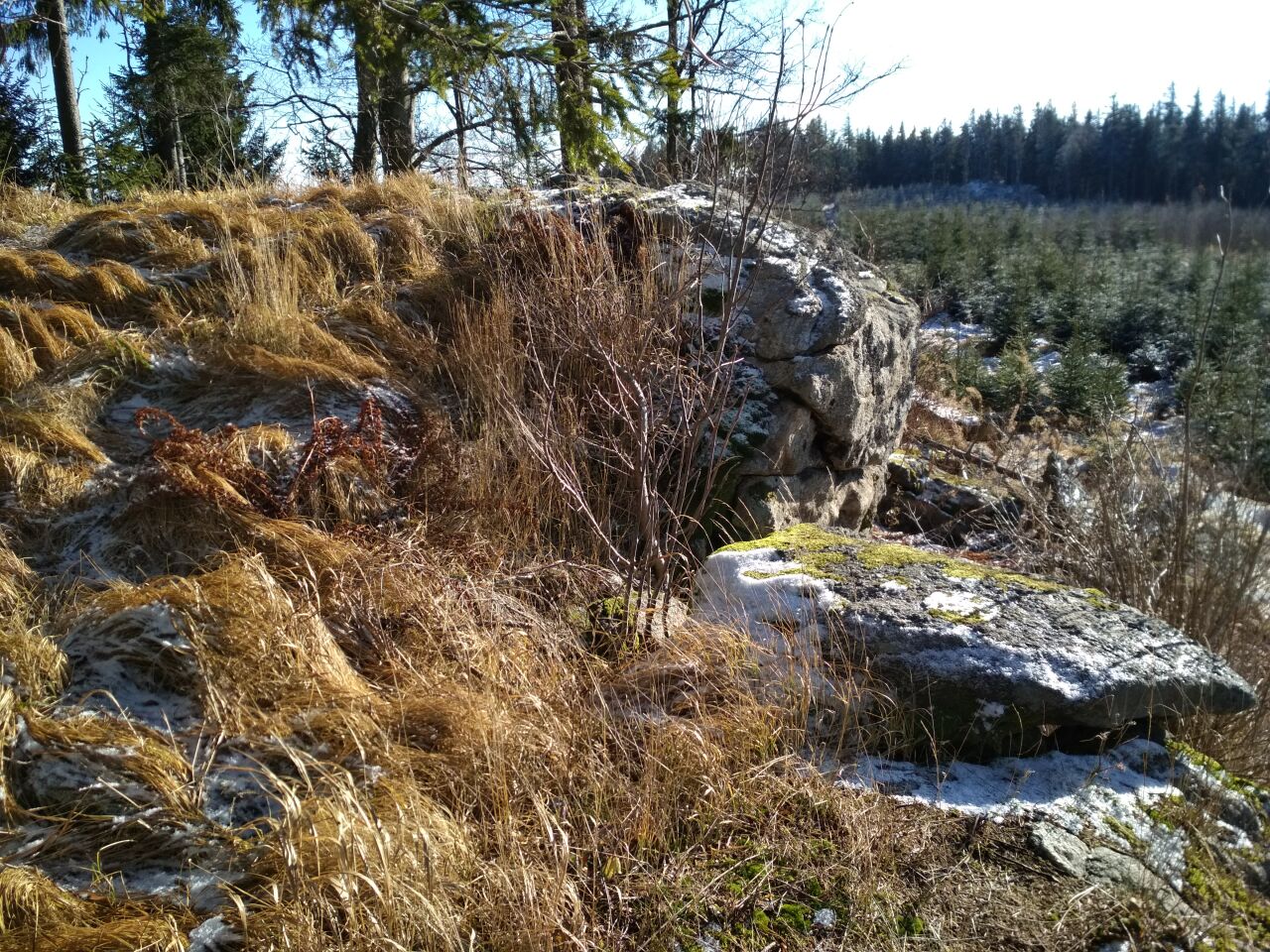 Špičák (1221&nbsp;m)