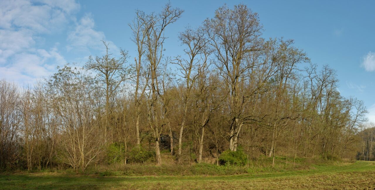 Kumán (222&nbsp;m)