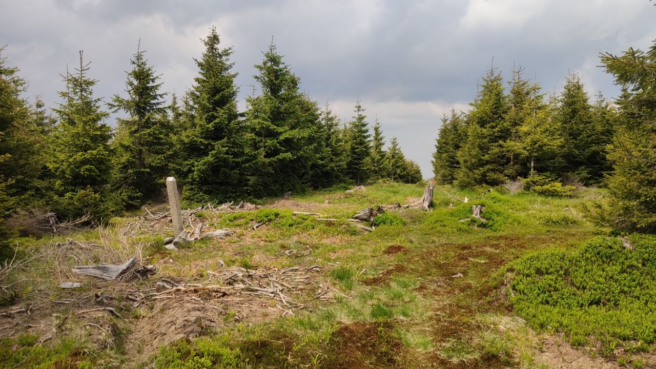 Orlík (1204&nbsp;m)