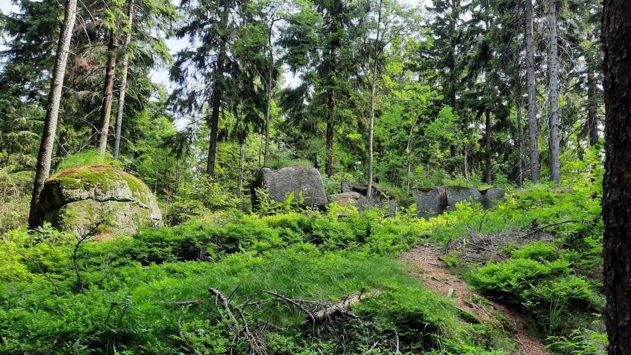 Bedřichovské sedlo (779&nbsp;m)