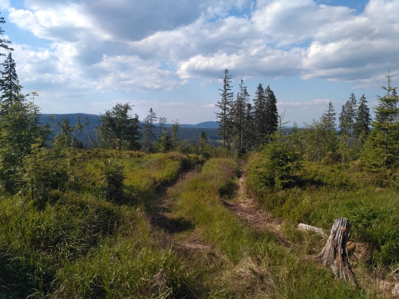 Modravská hora