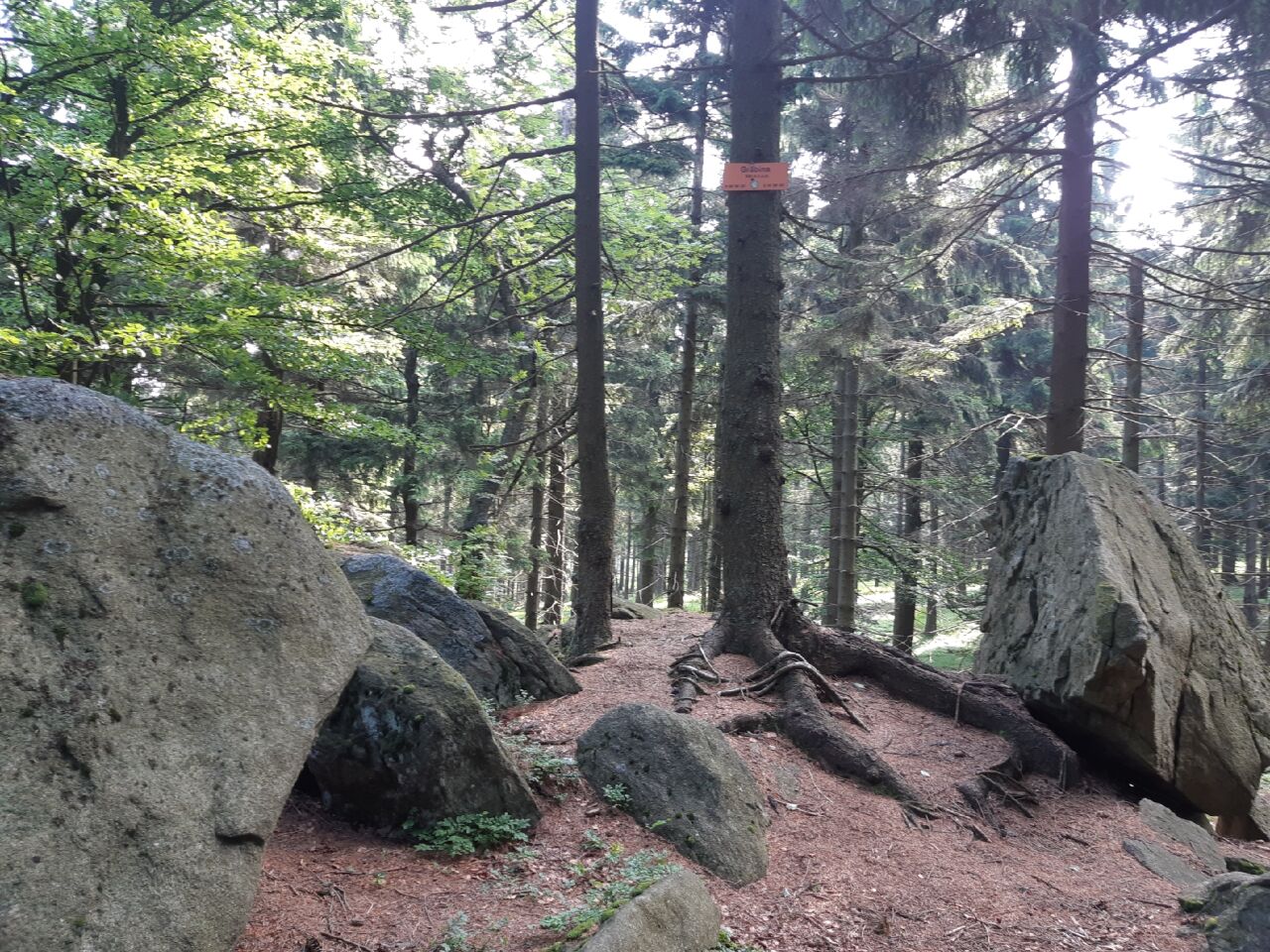 Grabina (945&nbsp;m)