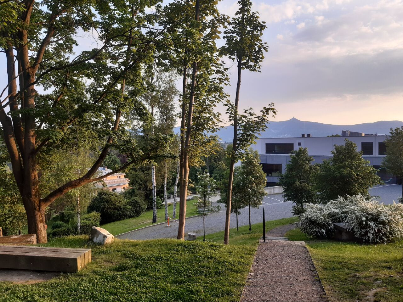 Univerzitní vršek