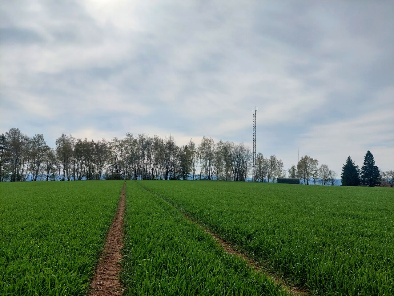 Vestec
