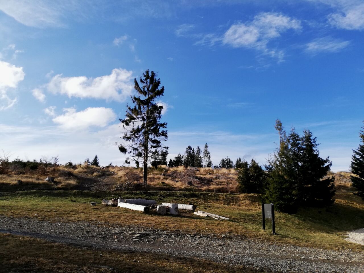 Kozubová